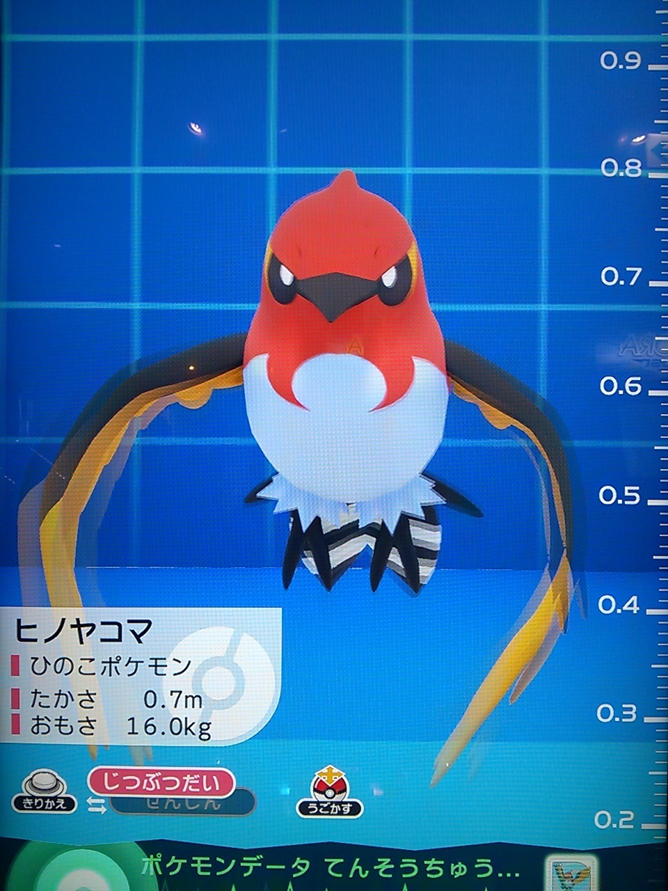 ヒノヤコマ に進化 ポケモン ポケモンガオーレ